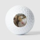 Suche nach lustige hamster spiele Wütend