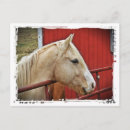 Suche nach palomino postkarten Angel