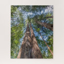 Suche nach landkreise puzzle Wald