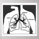Suche nach medizinisches diagramm poster Tabelle