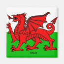 Suche nach wales flagge magnete Drache