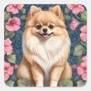 Suche nach pomeranian aufkleber Süß