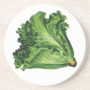 Suche nach salat untersetzer Gemüse