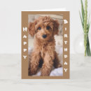 Suche nach hundezucht karten Hundeschwalker