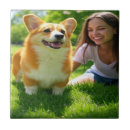 Suche nach fotos fliesen Hunde