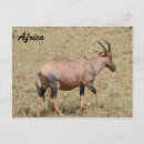 Suche nach länder postkarten Natur