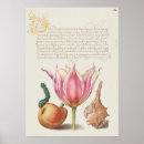 Suche nach insects poster Fruit