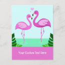 Suche nach flamingo liebe postkarten Flamingos