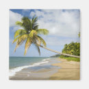 Suche nach st kitts magnete Landschaft