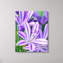 Suche nach wanddekor leinwandbilder Blume