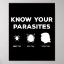 Suche nach parasit poster Trumpf
