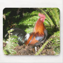 Suche nach hahn mousepads Geflügel