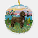 Suche nach portugiesischer wasserhund ornament ornamente Hunde