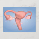 Suche nach organe poster Rosa