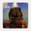 Suche nach niedliches schwein ornamente Haustier