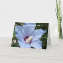 Suche nach heilen postkarten Blumen