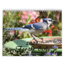 Suche nach taube kalender Kardinal