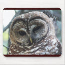 Suche nach eule mousepads Natur