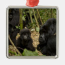 Suche nach für erwachsene ornamente Baby