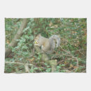 Suche nach niedliche eichhörnchen geschirr tücher Tiere