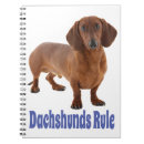 Suche nach dashund Dashound