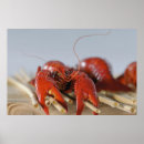 Suche nach nahaufnahme poster Zuhause