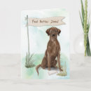 Suche nach schokolade labrador retriever karten Haustiere