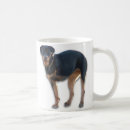 Suche nach rottweiler tassen Rettung