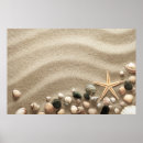 Suche nach strand muscheln poster Meer