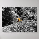 Suche nach pinkeln poster Fotografie
