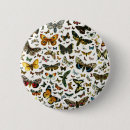 Suche nach schmetterlinge und motten buttons Raupe