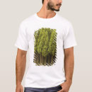 Suche nach zeder tshirts Immergrün