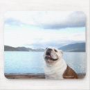 Suche nach plattformen mousepads Natur