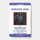 Suche nach hund ausweise Dogs