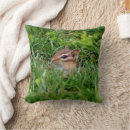 Suche nach chipmunks kissen Niedlich