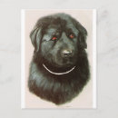 Suche nach maximillian Hund