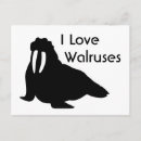 Suche nach walrus poster Säugetiere