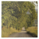 Suche nach cover fliesen Cades cove