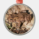 Suche nach kröten ornamente Amphibien