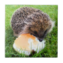 Suche nach igel fliesen Lustig