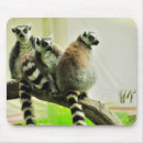Suche nach lemur elektronik zubehör Madagaskar