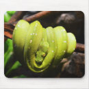 Suche nach grüne schlangen mousepads Tier