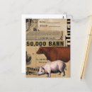 Suche nach rosa kuh postkarten Schwein
