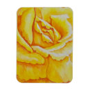 Suche nach orange rose magnete Aquarell
