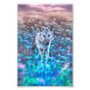 Suche nach einsamer wolf poster Grauwolf