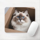 Suche nach ragdoll katze mousepads Niedlich