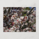 Suche nach prescott postkarten Blume