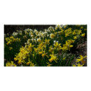 Suche nach kleidungs poster Natur