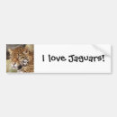 Suche nach jaguar autoaufkleber Wild