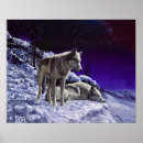 Suche nach grauwölfe poster Wildtiere